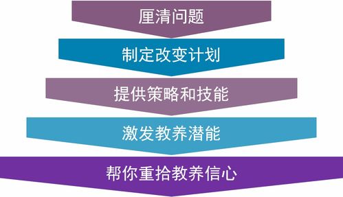 JFinal框架下一對一關系實體類編寫指南——以‘芍藥居一對一親子教育咨詢服務’為例