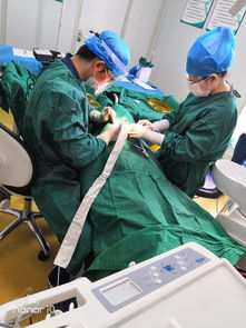 十年磨一劍 呼市至美口腔獲國內外專家認可，引領口腔診療服務新標準